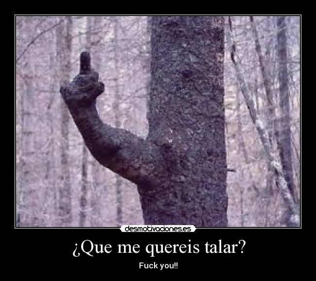 ¿Que me quereis talar? - Fuck you!!