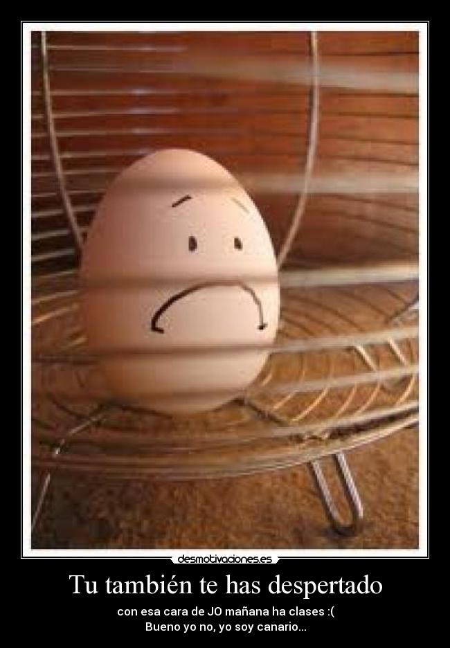 Tu también te has despertado -