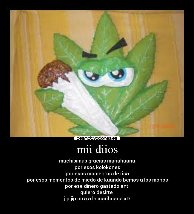 mii diios - muchisimas gracias mariahuana
por esos kolokones
por esos momentos de risa
por esos momentos de miedo de kuando bemos a los monos
por ese dinero gastado enti
quiero desirte 
jip jip urra a la marihuana xD
