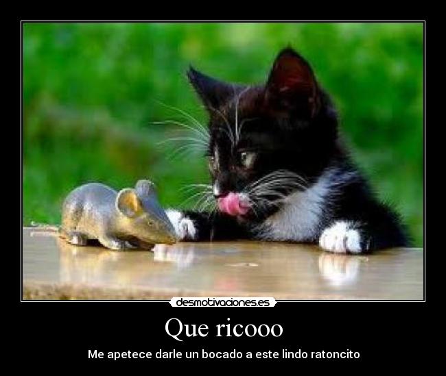 Que ricooo - Me apetece darle un bocado a este lindo ratoncito
