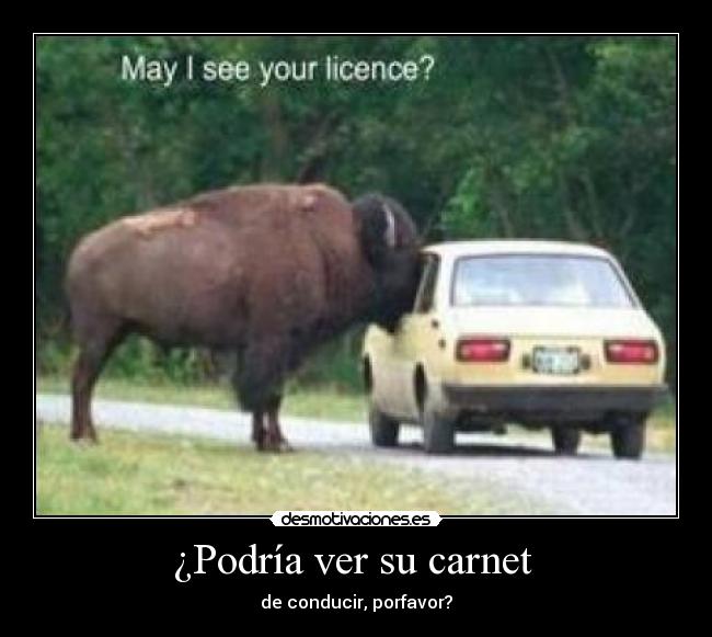 ¿Podría ver su carnet  - 