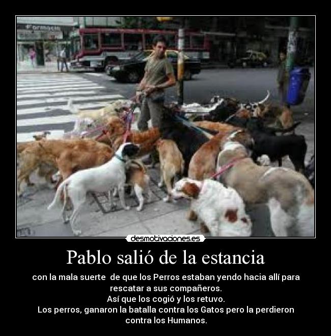 Pablo salió de la estancia - con la mala suerte  de que los Perros estaban yendo hacia allí para
rescatar a sus compañeros.
Así que los cogió y los retuvo.
Los perros, ganaron la batalla contra los Gatos pero la perdieron
contra los Humanos.