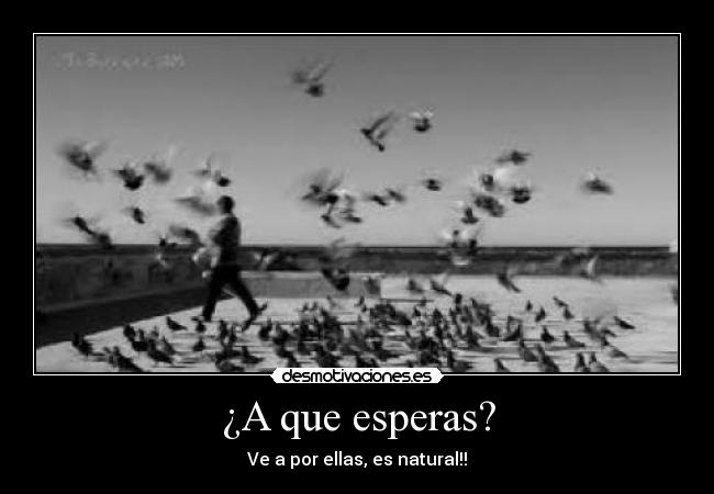 ¿A que esperas? - Ve a por ellas, es natural!!