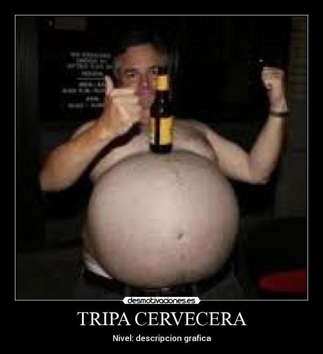 TRIPA CERVECERA - Nivel: descripcion grafica