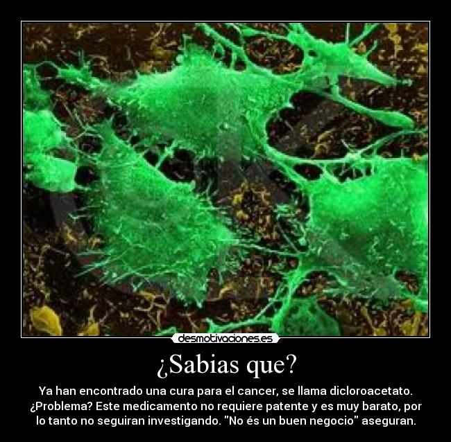 ¿Sabias que? -