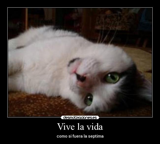 Vive la vida - 
