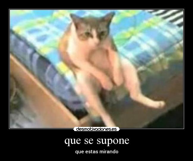 que se supone - que estas mirando