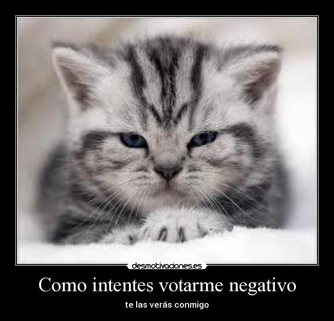 carteles des desmotivaciones