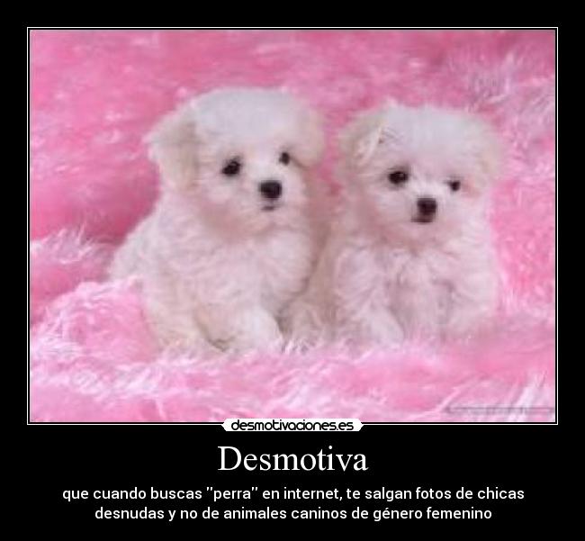 Desmotiva - 