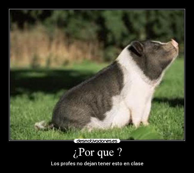 carteles jecuss desmotivaciones