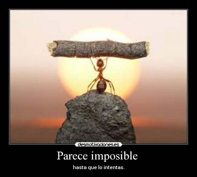 Parece imposible -