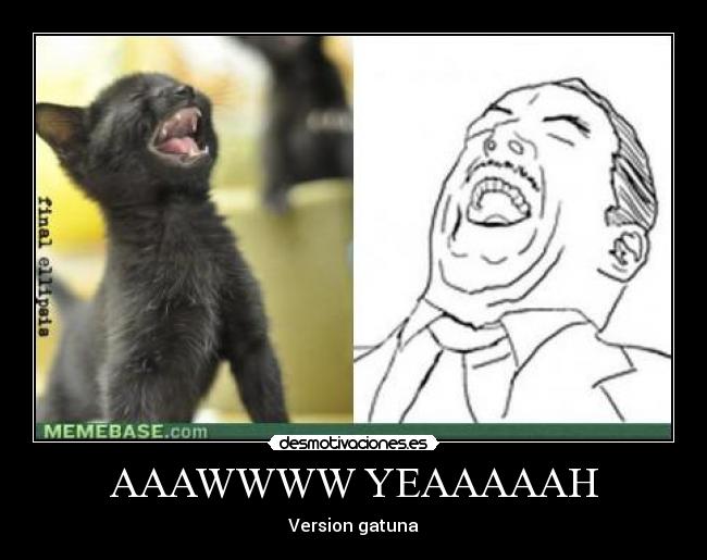 AAAWWWW YEAAAAAH - Version gatuna