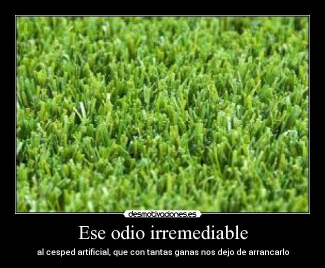 Ese odio irremediable -