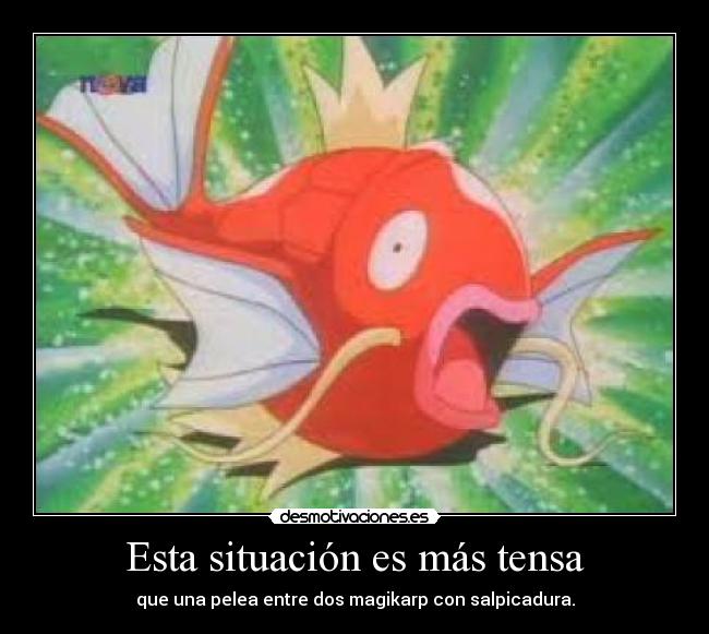 Esta situación es más tensa - que una pelea entre dos magikarp con salpicadura.