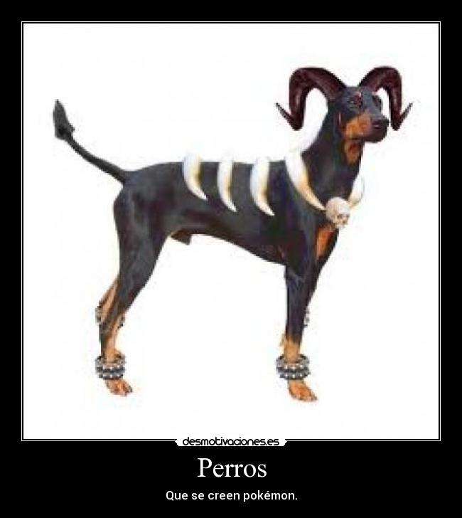 Perros - Que se creen pokémon.