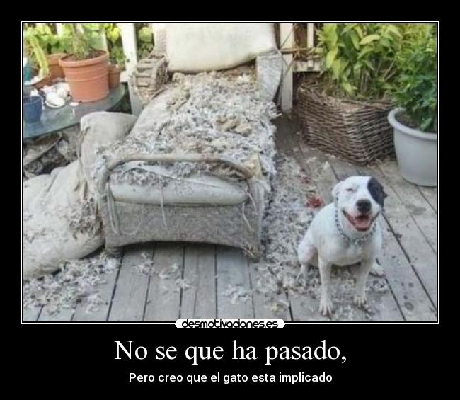 No se que ha pasado, -