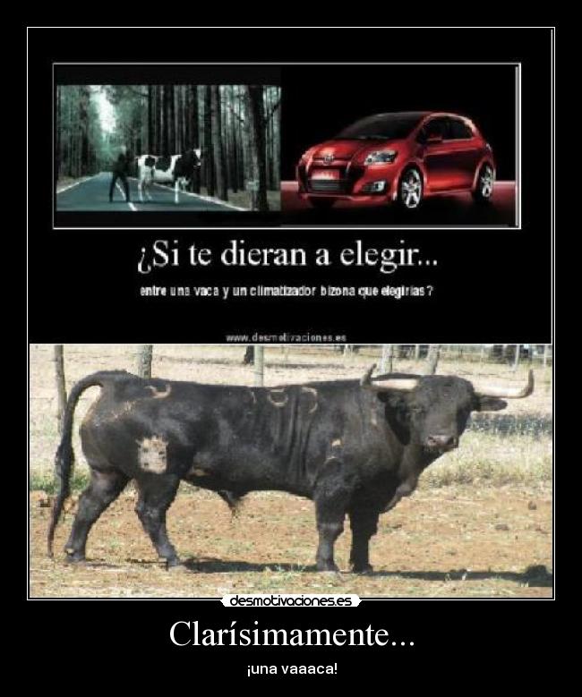 Clarísimamente... - ¡una vaaaca!