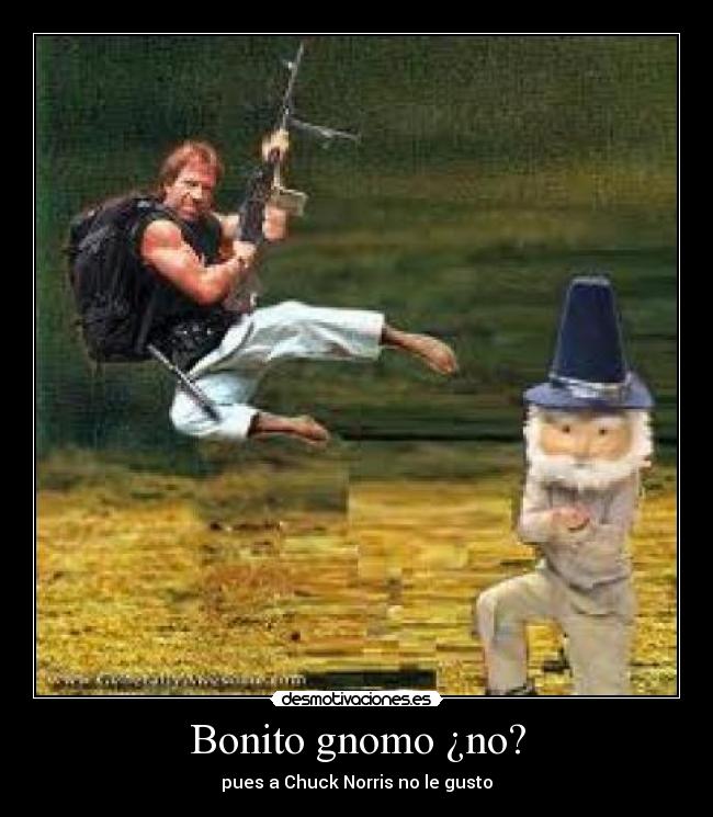 Bonito gnomo ¿no? - pues a Chuck Norris no le gusto