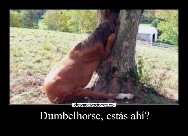 Dumbelhorse, estás ahí? -