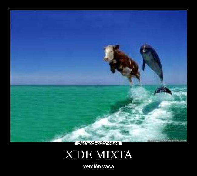 X DE MIXTA - versión vaca