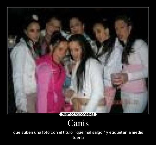 Canis - que suben una foto con el titulo  que mal salgo  y etiquetan a medio tuenti