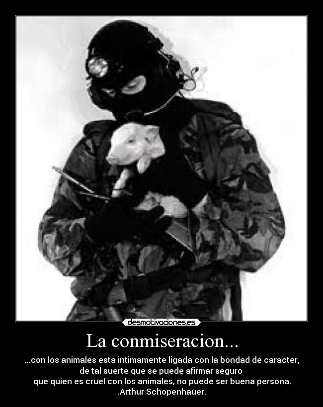 La conmiseracion... -