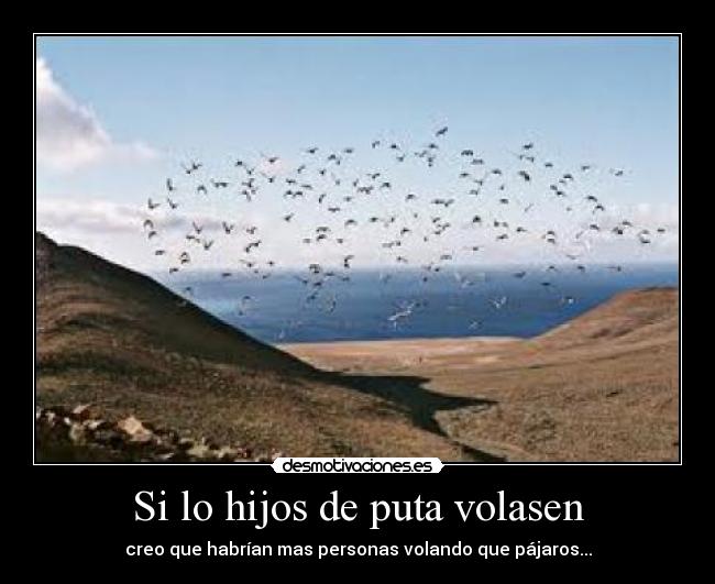 Si lo hijos de puta volasen -