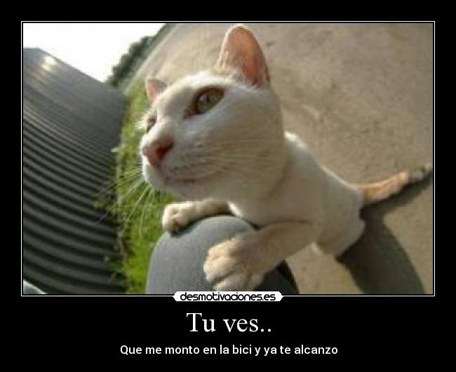 Tu ves.. -