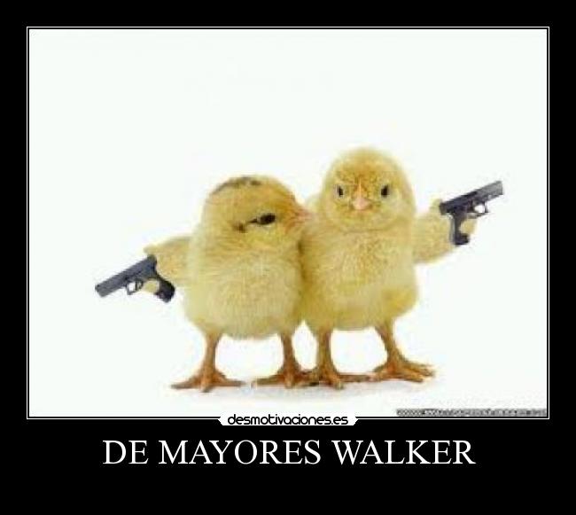 DE MAYORES WALKER -