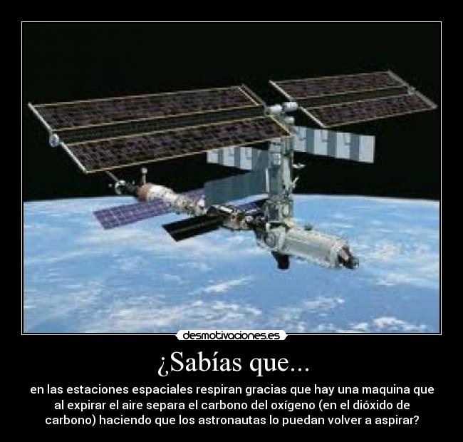 ¿Sabías que... - 