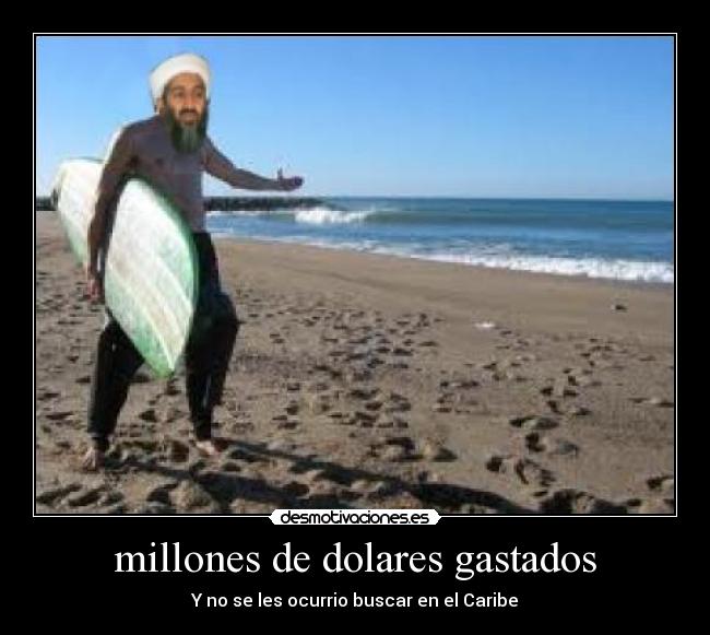 millones de dolares gastados -