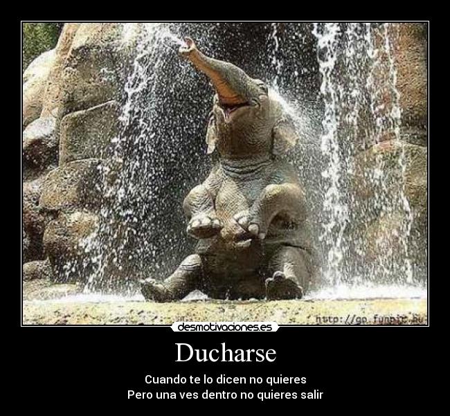 carteles ducharse cuando dicen quieres pero una ves dentro quieres sal desmotivaciones