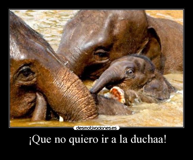 carteles que quiero ducha desmotivaciones