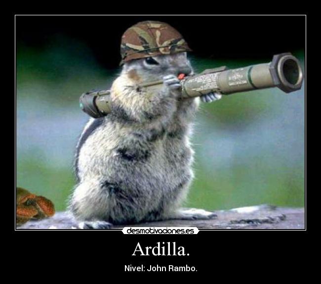 Ardilla. - Nivel: John Rambo.