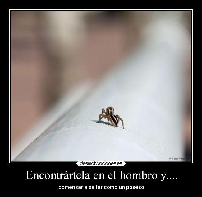 Encontrártela en el hombro y.... - 