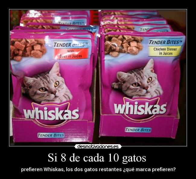 Si 8 de cada 10 gatos  - 