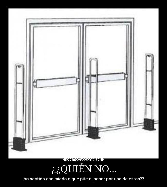 ¿¿QUIÉN NO... -