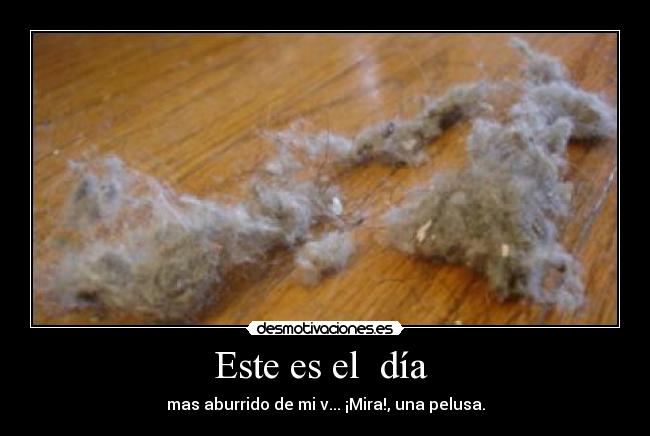 Este es el día -