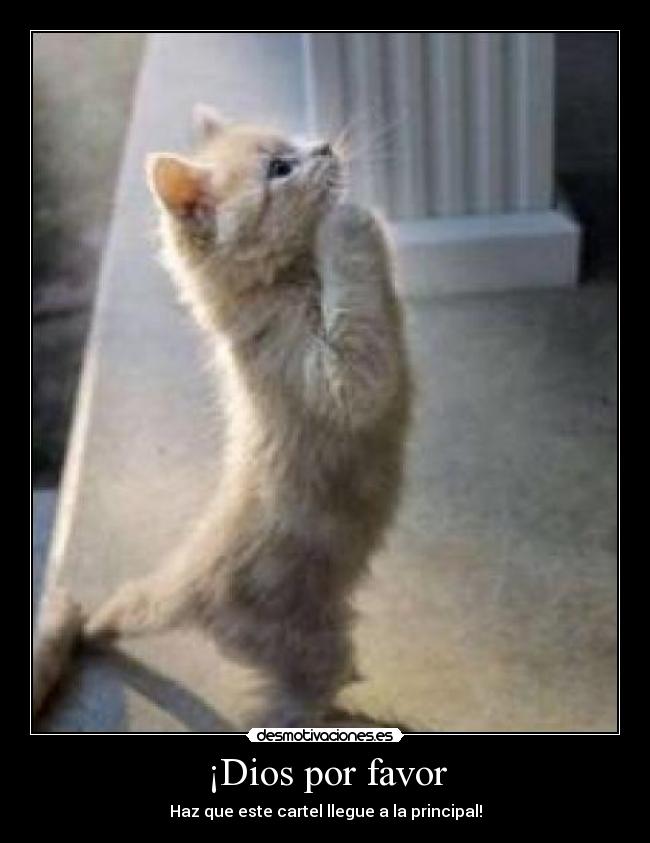 ¡Dios por favor -