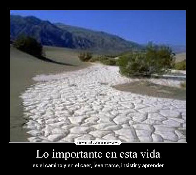 Lo importante en esta vida - 