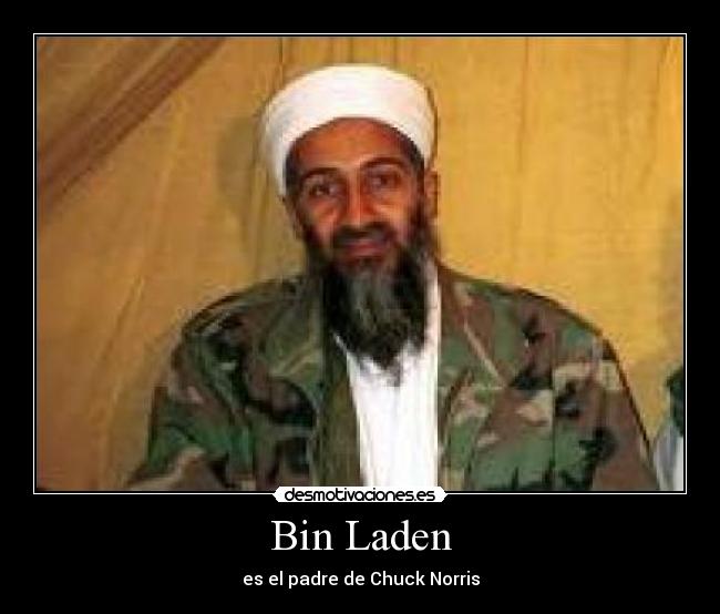 carteles bin laden desmotivaciones