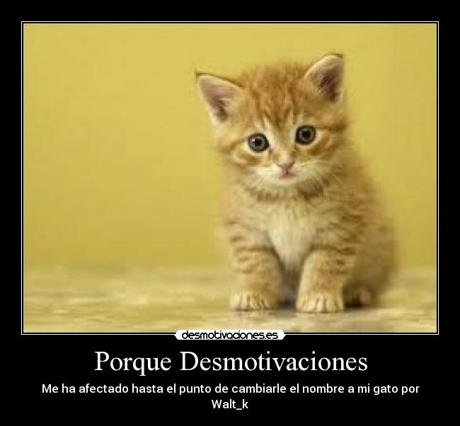 Porque Desmotivaciones - Me ha afectado hasta el punto de cambiarle el nombre a mi gato por Walt_k