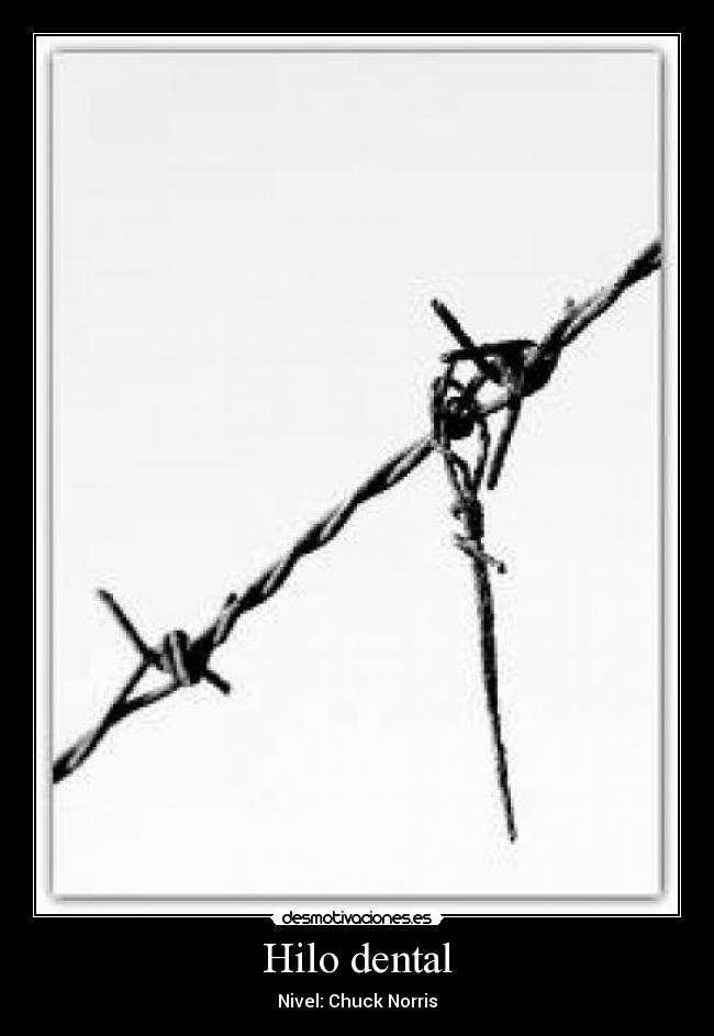 Hilo dental - 