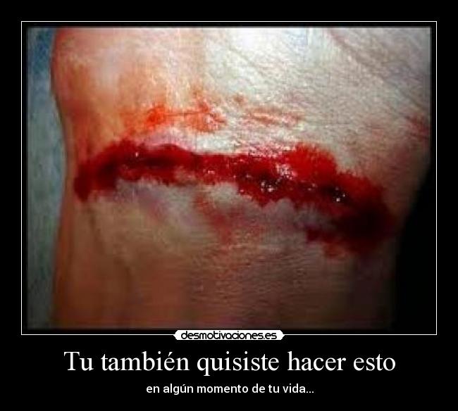 Tu también quisiste hacer esto - 