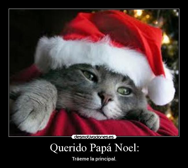 Querido Papá Noel: - Tráeme la principal.