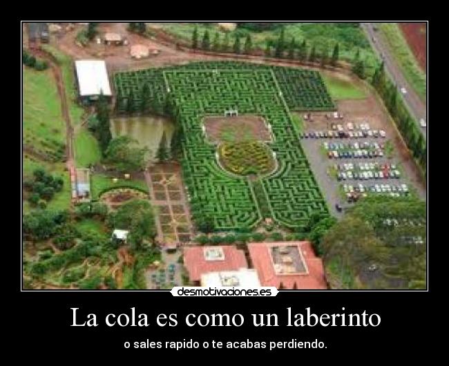 La cola es como un laberinto - 
