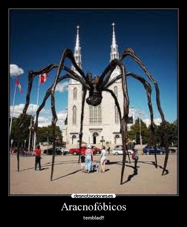 Aracnofóbicos - temblad!!