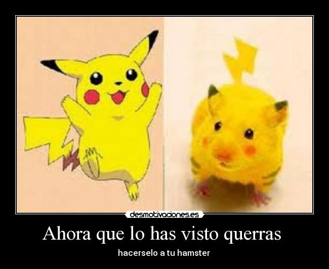 Ahora que lo has visto querras  - hacerselo a tu hamster 