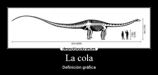La cola - Definición gráfica