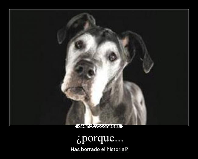 ¿porque... -
